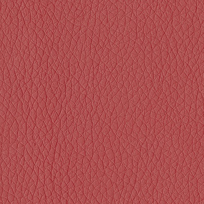 Grade C - Dillon Lipstick